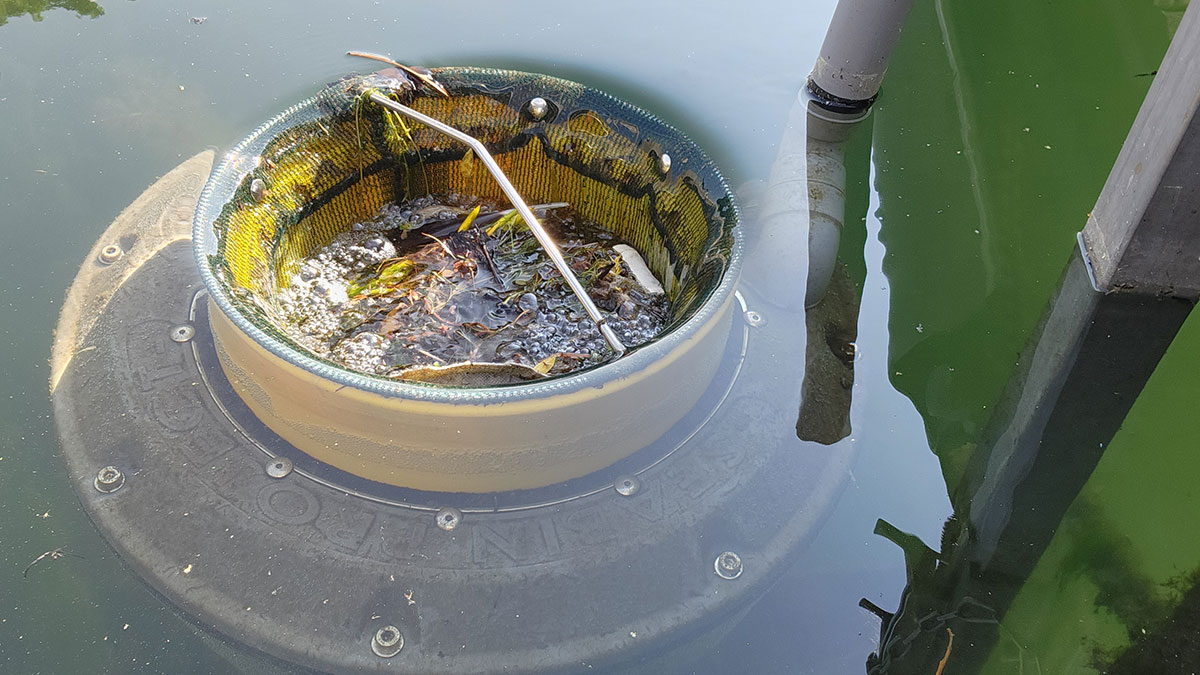 Seabin filled with debris