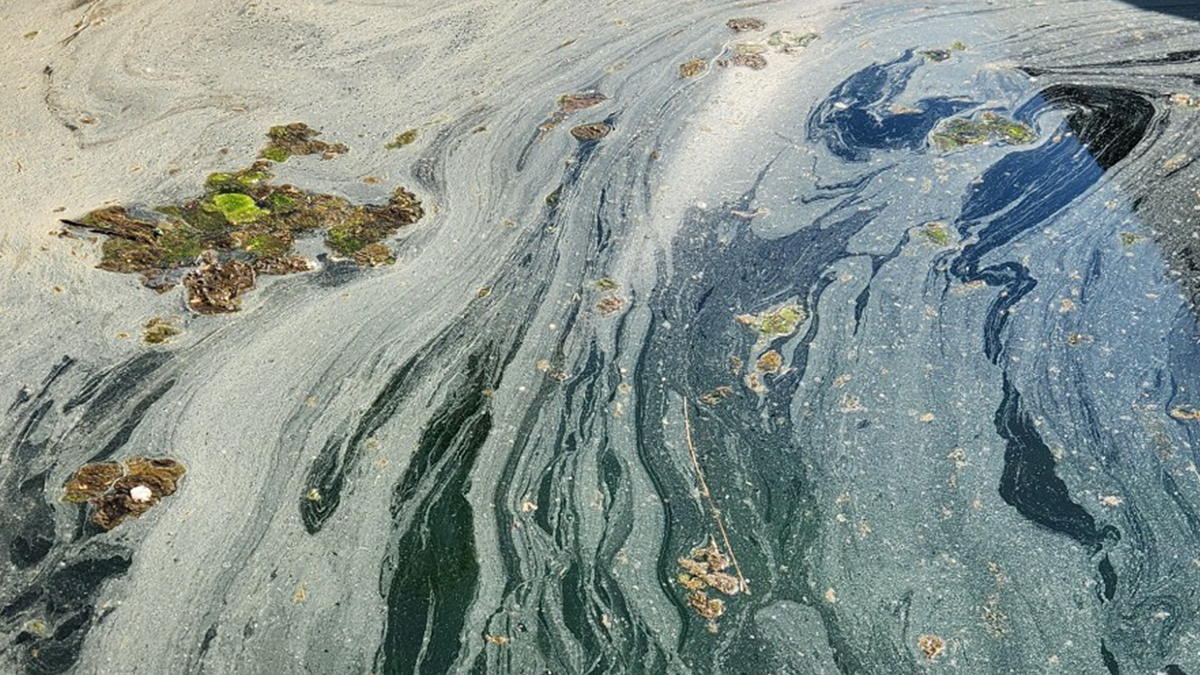 Clear/iridescent film floating on water