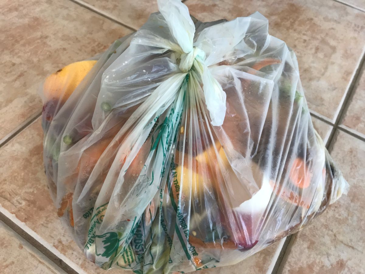 Compostable bag filled with food scraps