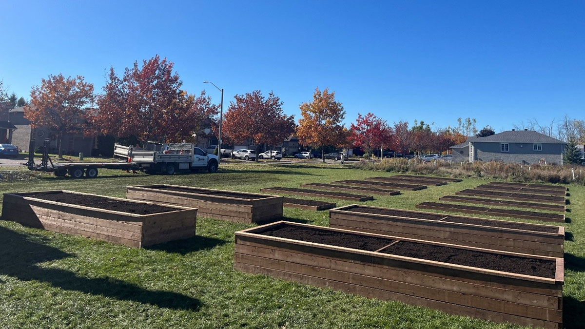 Newly constructed garden plots (six single plots, six double plots and four raised plots)