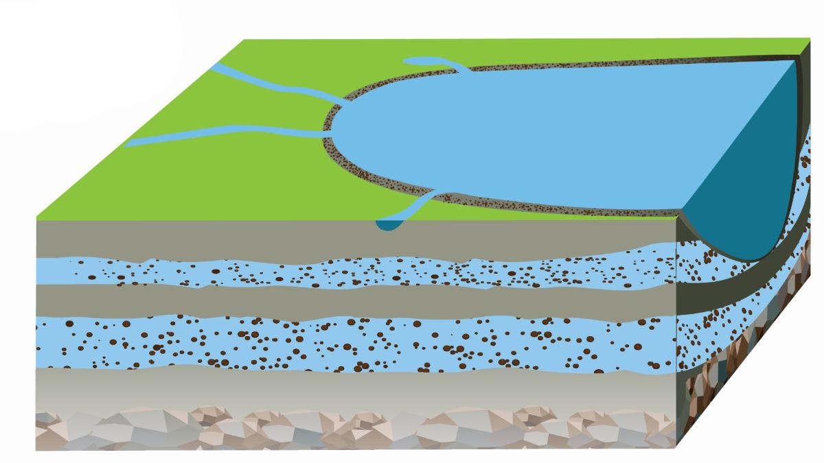 Levels, source appointment, and ecological risk of petroleum