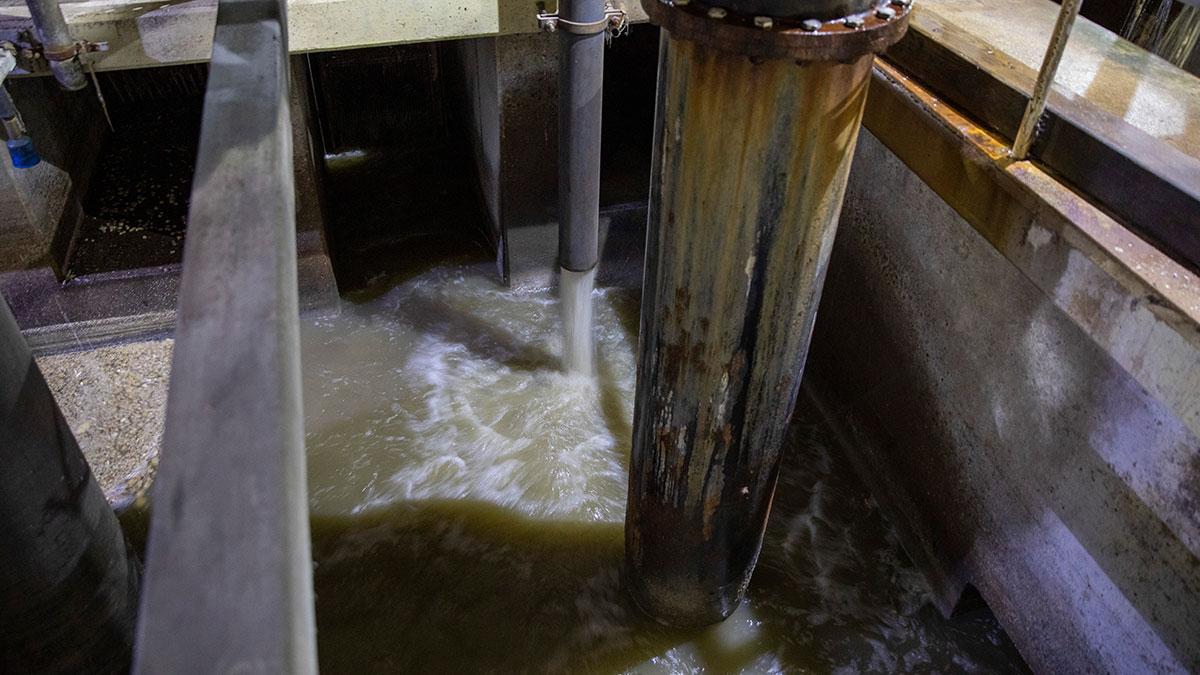 wastewater entering the Wastewater Treatment Facility