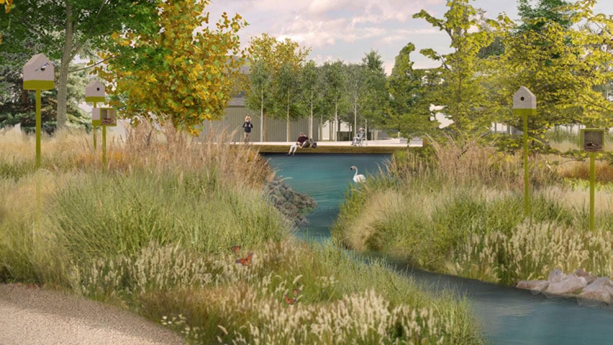 Rendering of perennial meadow 