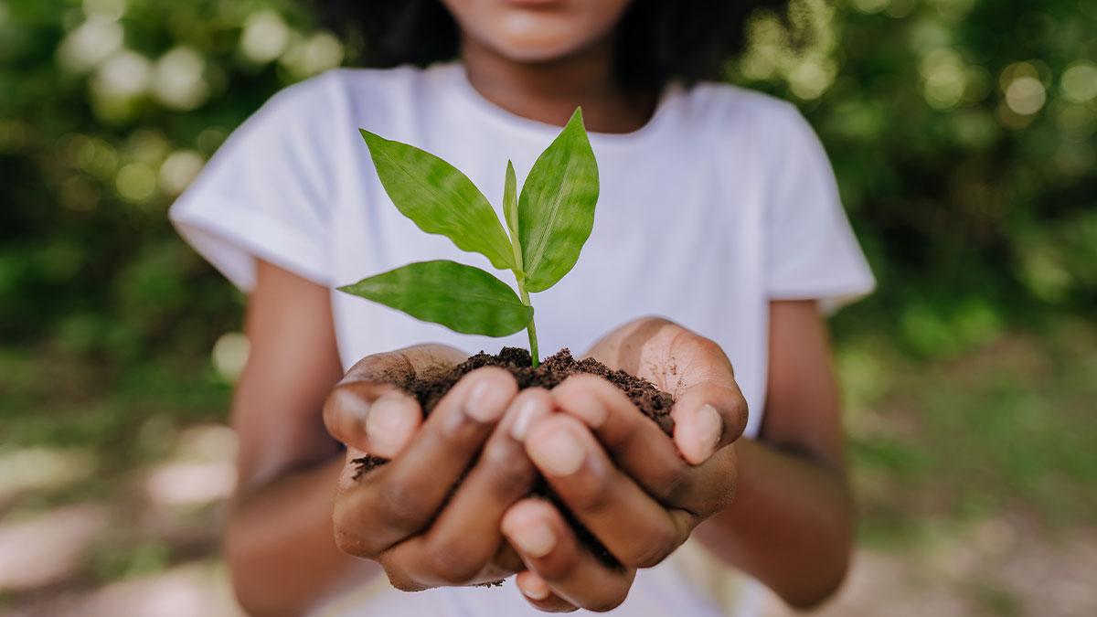 Girl holding sprout outdoors