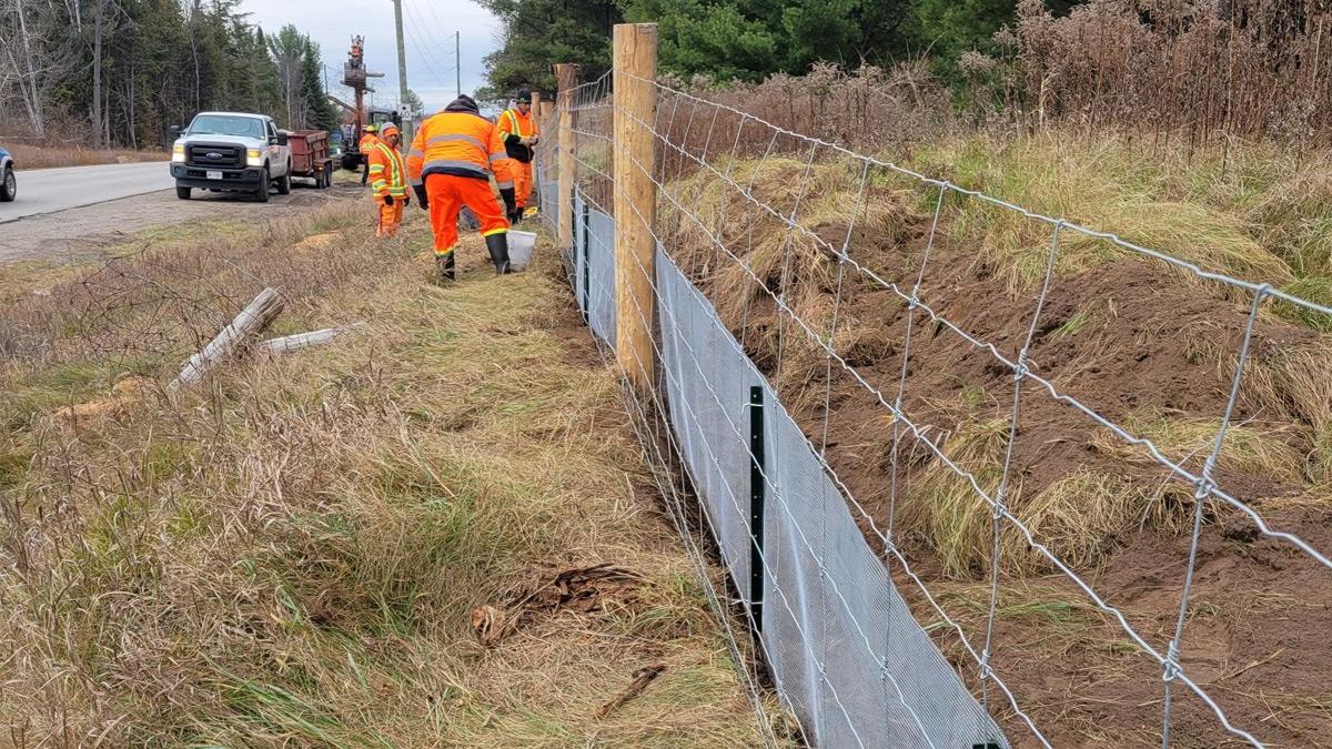 Fencing being installed