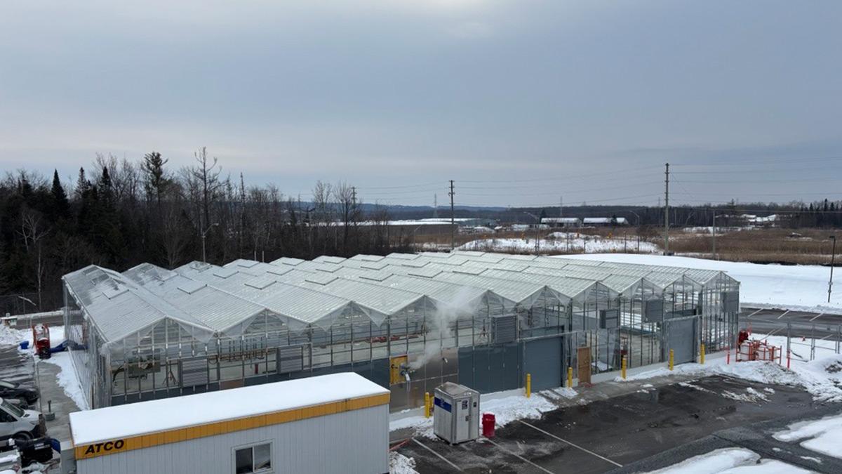 Newly constructed greenhouse