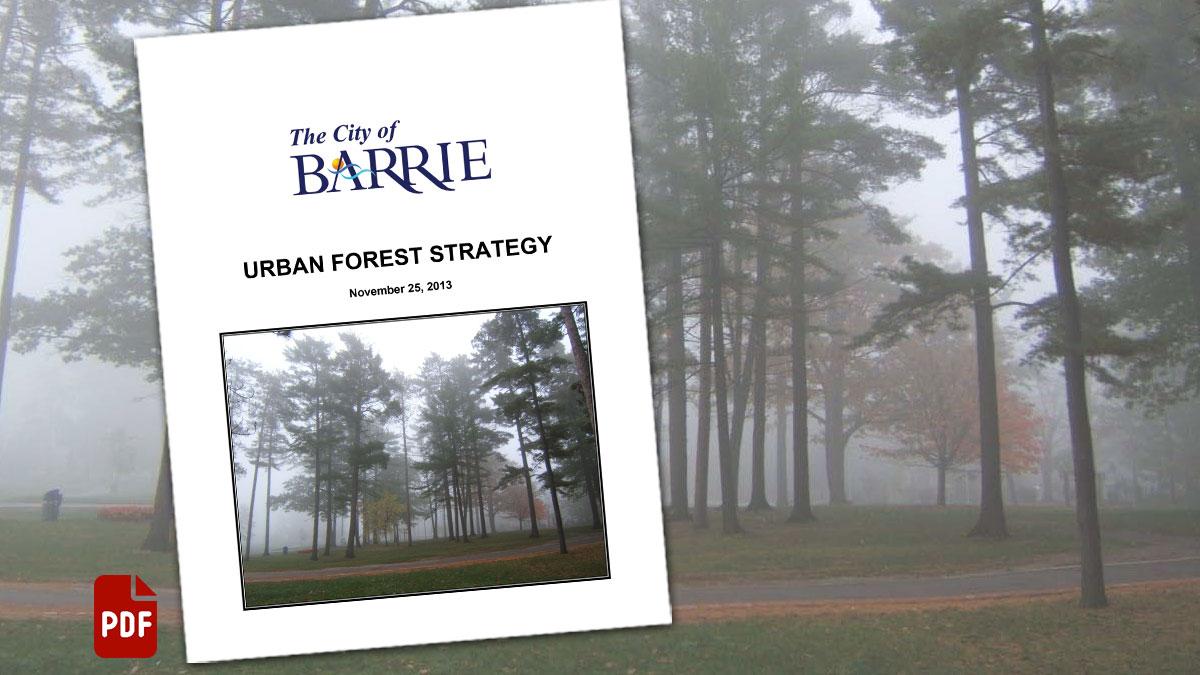Cover of the Urban Forest Strategy with PDF icon and forest background