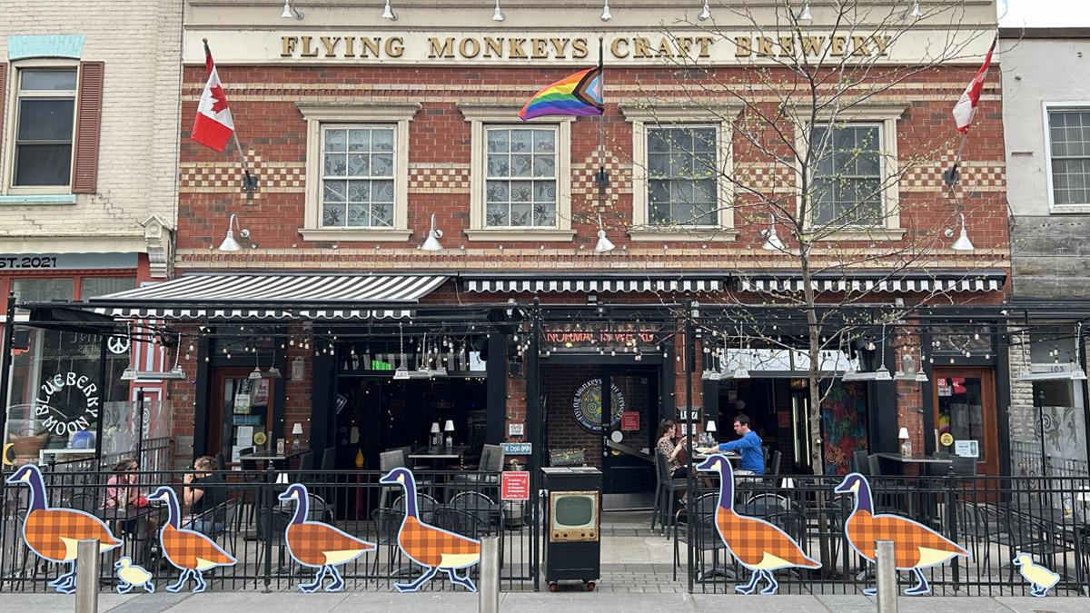 Colourful artwork of geese in a line on the Flying Monkeys patio fencing