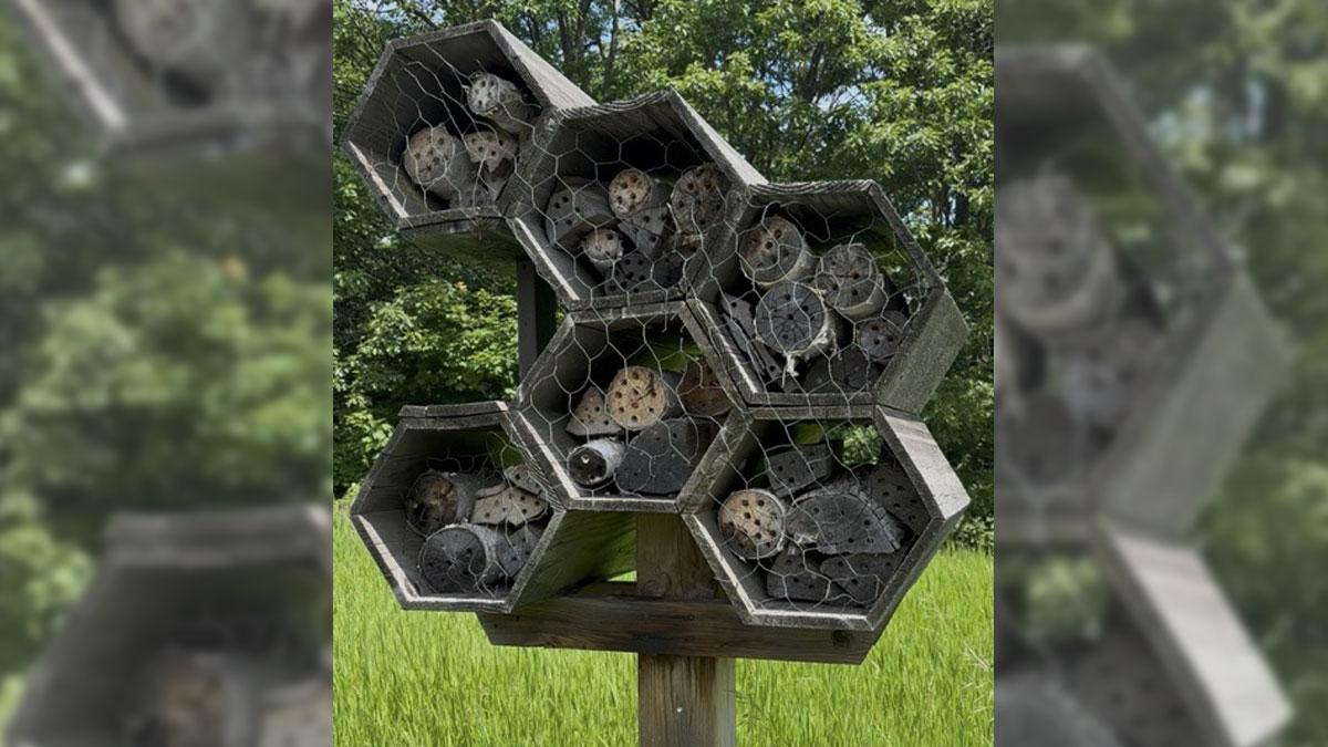 Bee hotel structure with hexagonal compartments filled with wooden tubes, surrounded by greenery.
