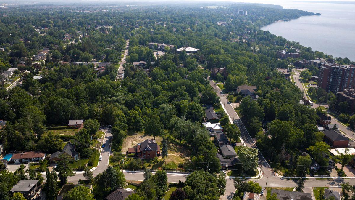Aerial view of a roads in a lush green neighbourhood near a lake.