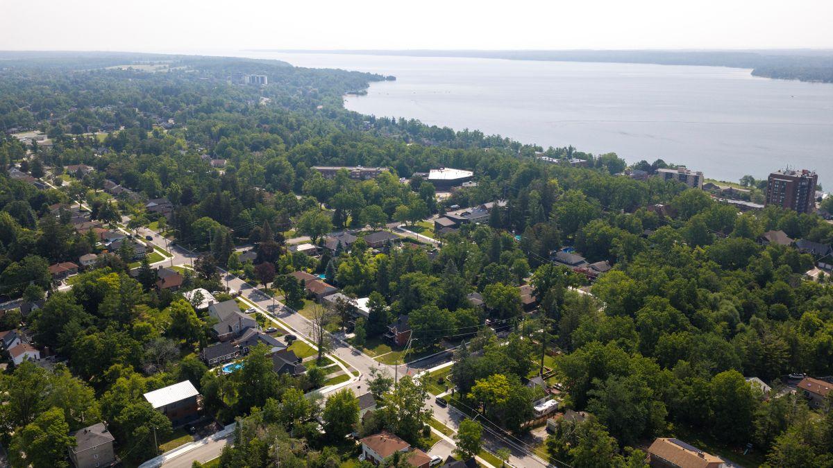 Aerial view of roads in a green residential area near a lake on a sunny day.