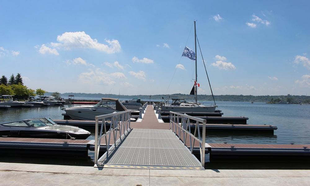 boats docked at transient marina
