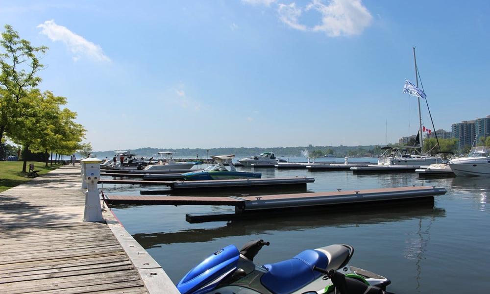 boats docked at transient marina