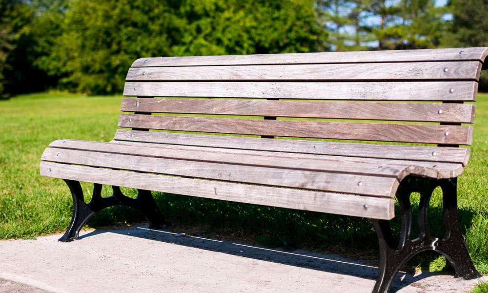 Wooden park bench