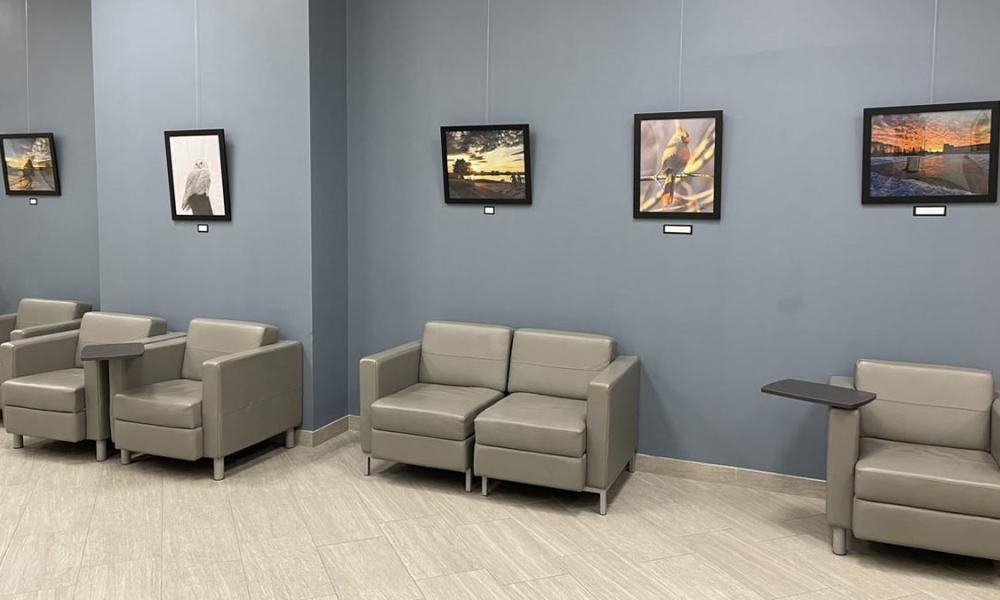 Artwork displayed on the walls of the First Floor Gallery, Barrie City Hall