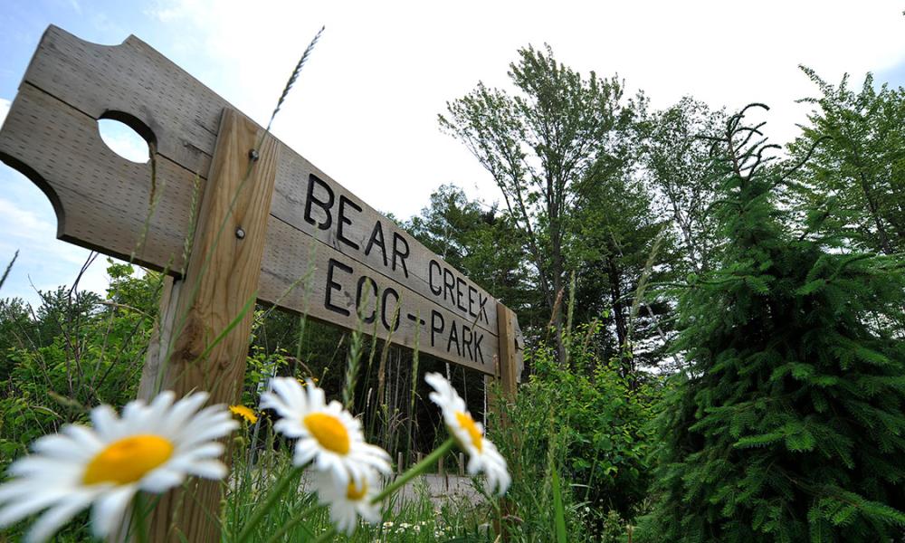 Sign for Bear Creek Eco Park with flowers in foreground