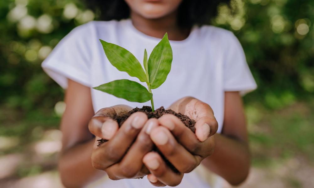 Girl holding sprout outdoors