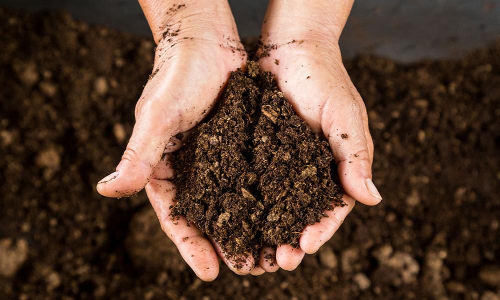 Hands holding finished compost 