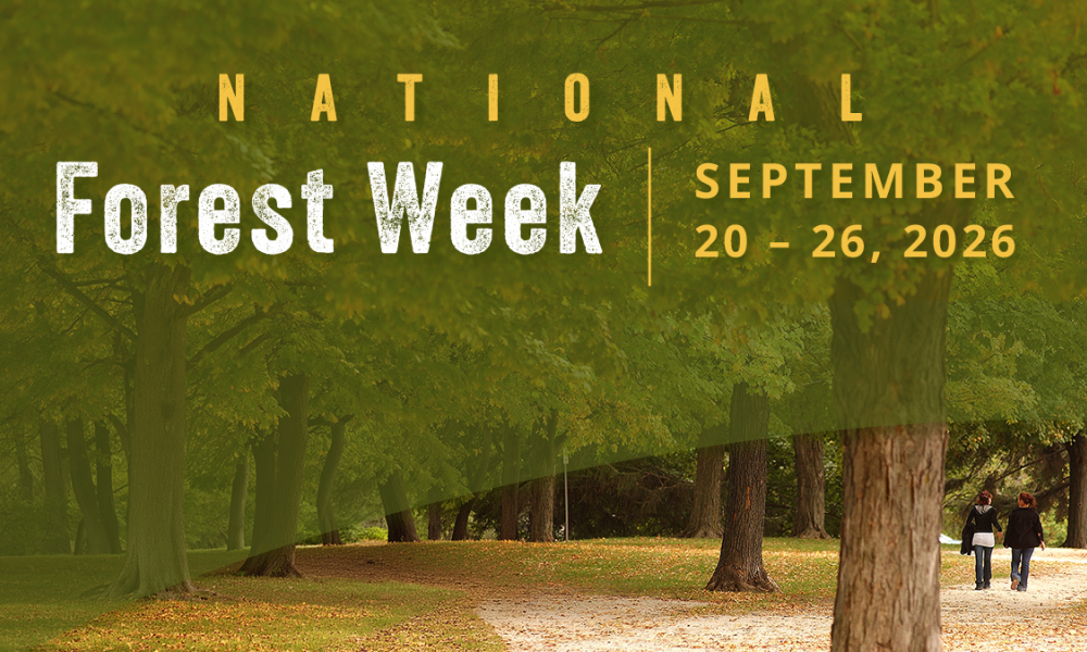 Click to visit www.barrie.ca/UrbanForestry.