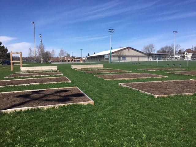 Eastview community garden 